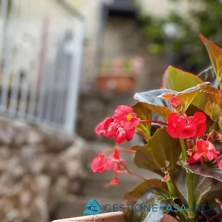 Casa Con Ampio Giardino In Centro La Taverna Itri